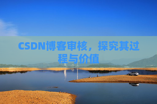 CSDN博客审核，探究其过程与价值
